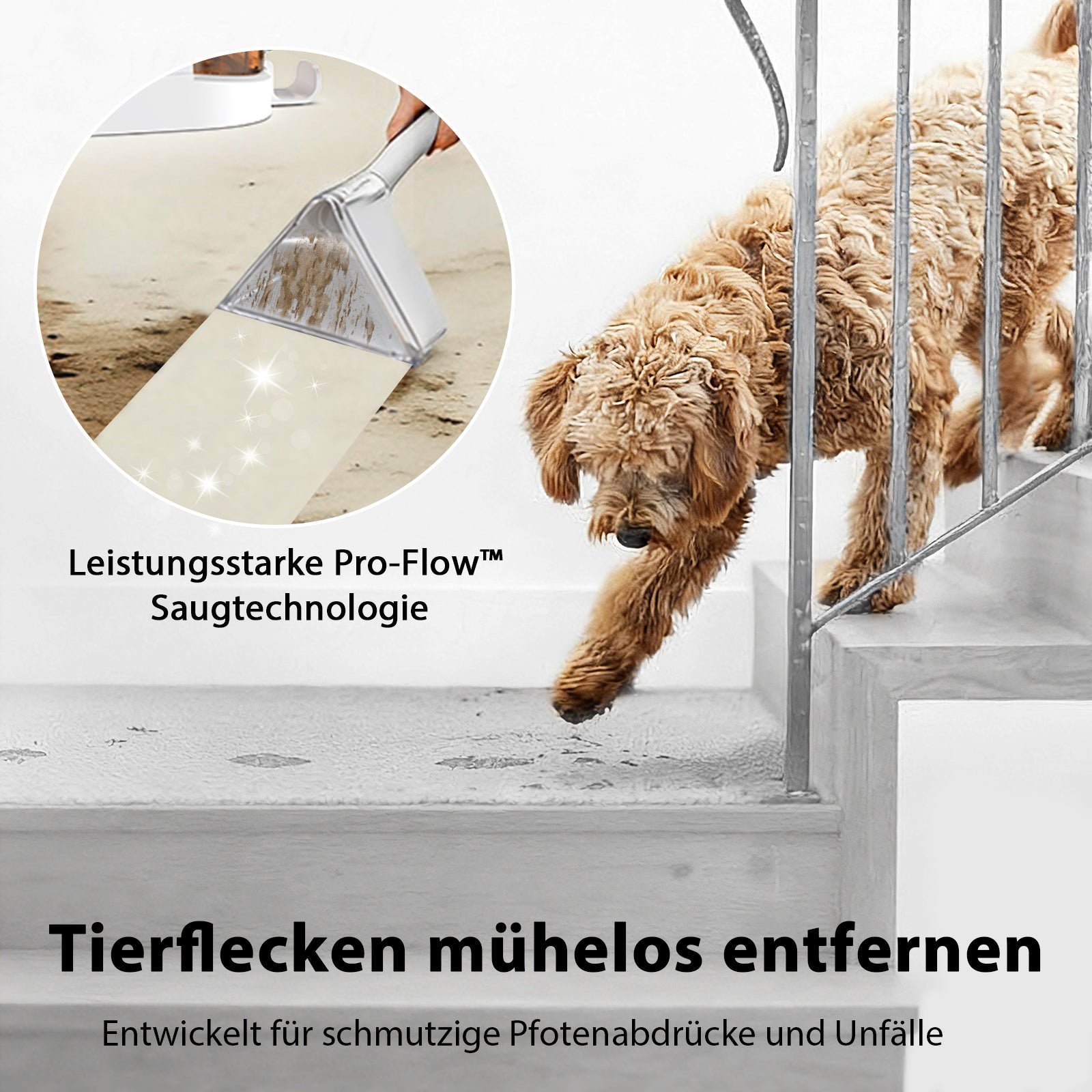 Grenintol C1 Teppichreinigungsgerät 25000pa Waschsauger,Fleckentferner,Teppichreiniger,Polsterreiniger Gerät